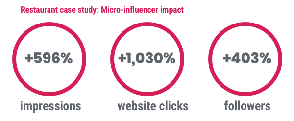 Micro-Influencer Statistics